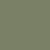 army color